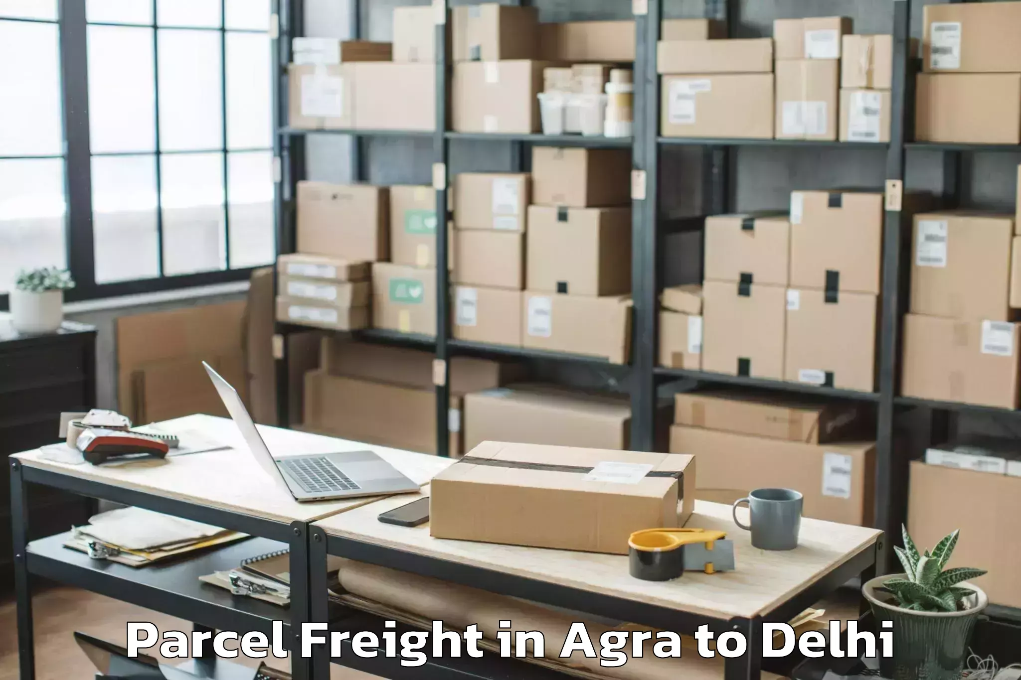 Book Agra to Unity One Mall Rohini Parcel Freight